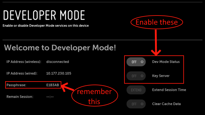 Developer Mode Settings